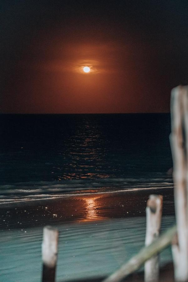 Pili Pili Swahili Lodge จัมเบียนี ภายนอก รูปภาพ